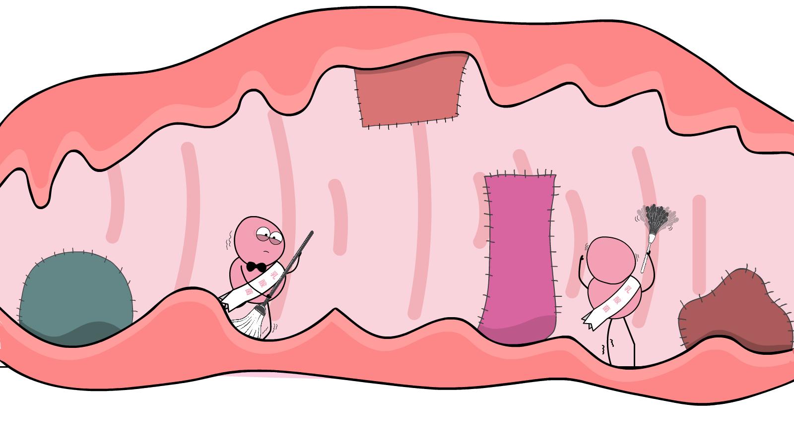 女性妇科微生物,女性微生物失衡