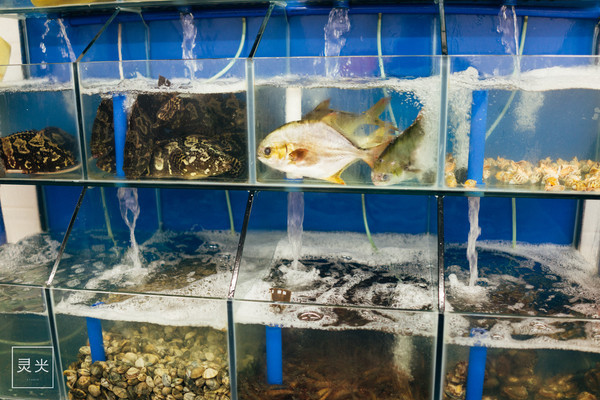 坐轮船多少钱三亚,去三亚坐轮渡7座车多少钱