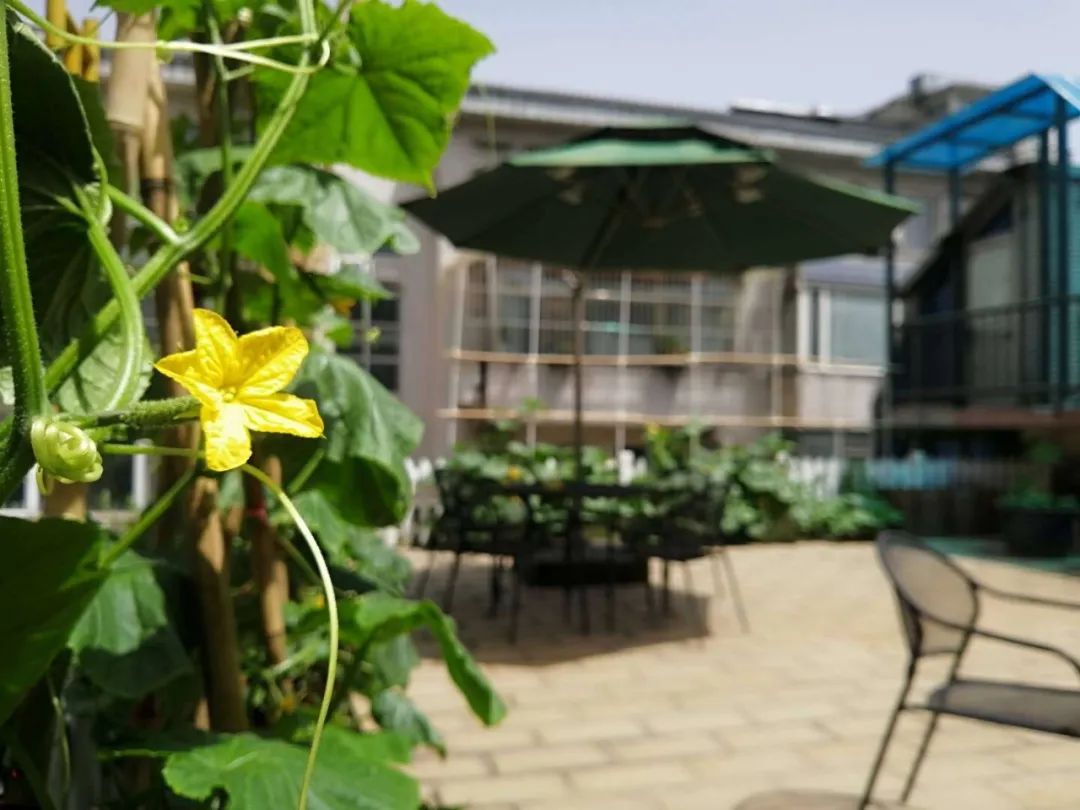 关键之道体育怎么样,关键之道体育