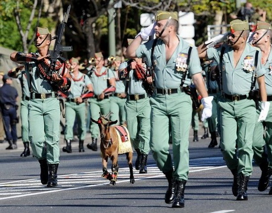 世界各国的国庆节的时间及原因,各国国庆节的节日风俗