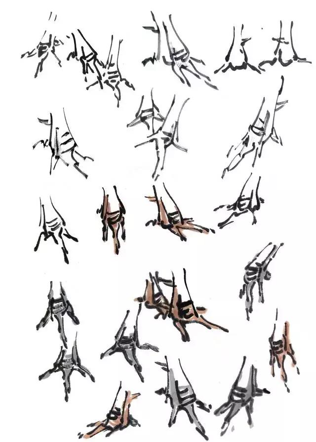 中国画中公鸡的写意画法,中国画鸡的学习方法