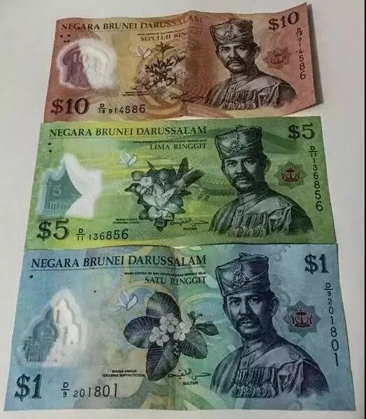 富到流油的文莱,富到流油的国家文莱