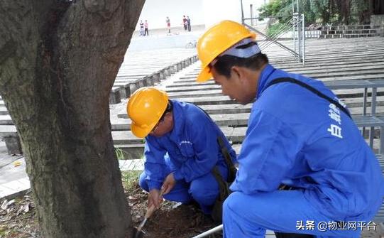 防治白蚁最好的方法,白蚁防治的药对人体有危害吗