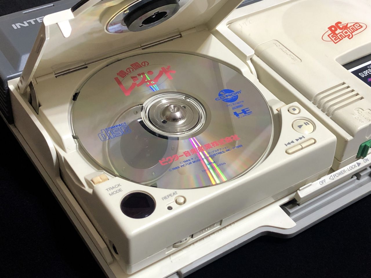 酒井法子去冒险,曾经的女神酒井法子大家还记得吗