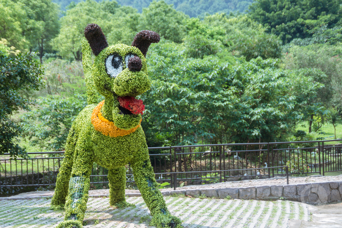 广州白水寨旅游攻略,五一白水寨亲子游