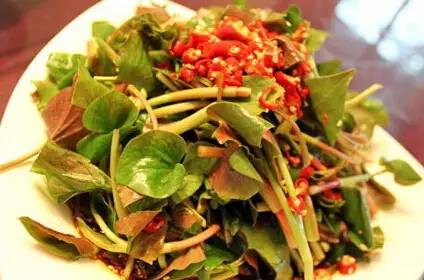 与折耳根媲美的各省美食,与折耳根媲美的美食