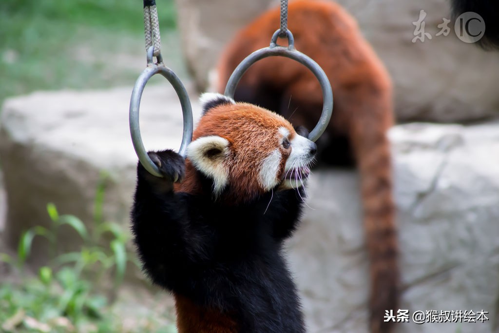 时隔多年再读一本书,时隔三十年的书籍