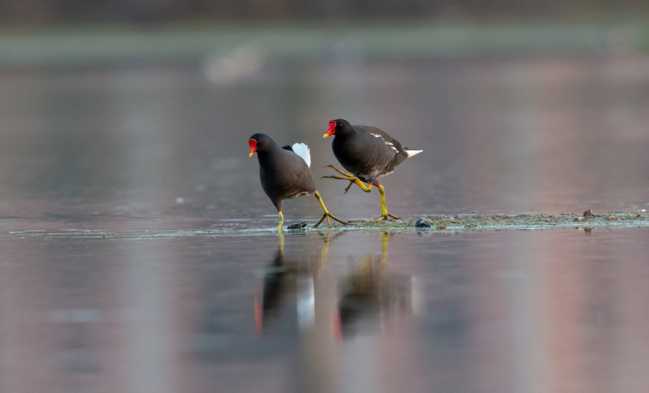 用镜头捕捉瞬间用光影记录感动,用镜头记录人生用心灵感悟美好