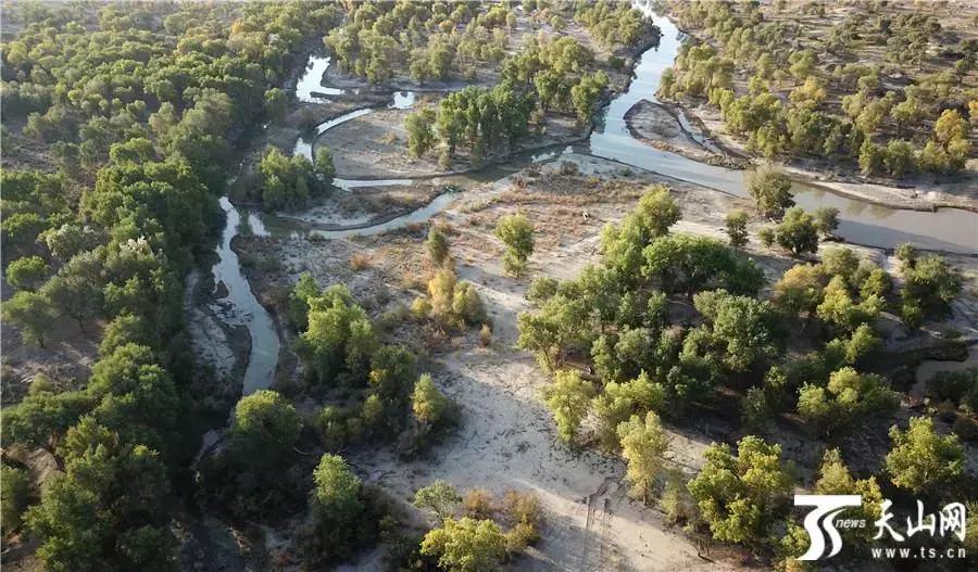 给你11个“十一”来*疆新**的理由