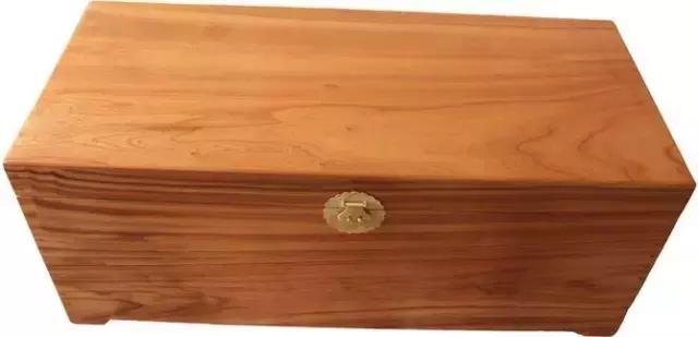 柴木是什么树种,柴木是什么