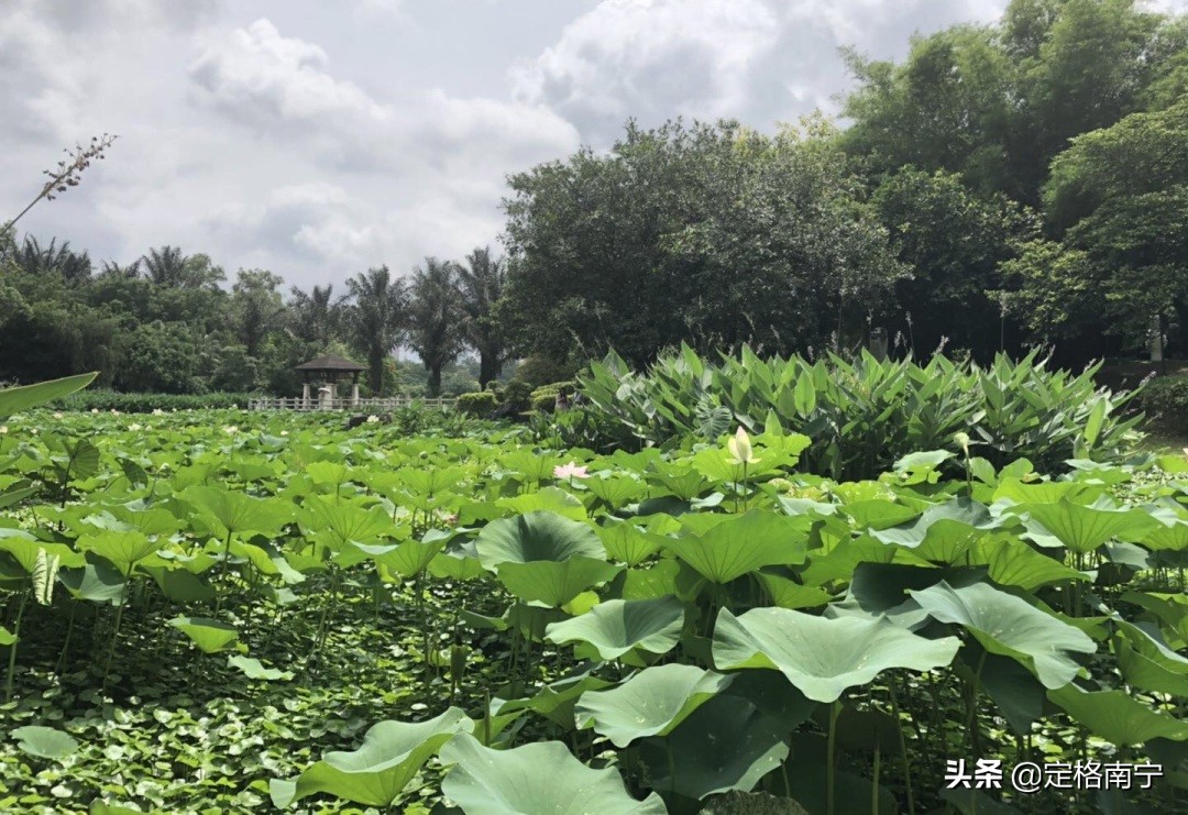 南宁狮山公园晚上开放时间,南宁狮山公园近期有什么玩