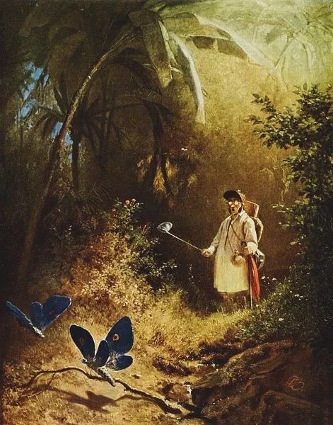 话题|一起化蝶的爱情是没有了,但你还能搞到这些