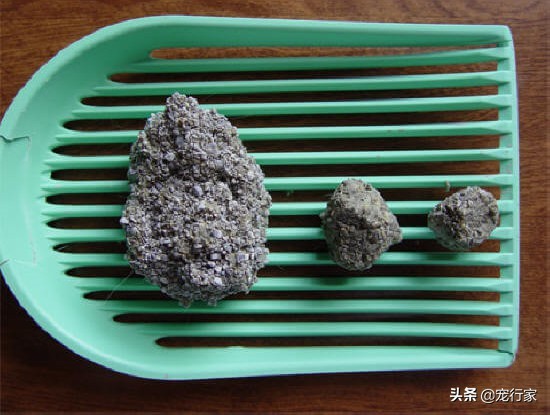 含水量多的食物可以帮猫咪预防膀胱炎！减少猫咪痛苦，节省医药费