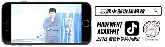 一个治疗师的力量训练之路