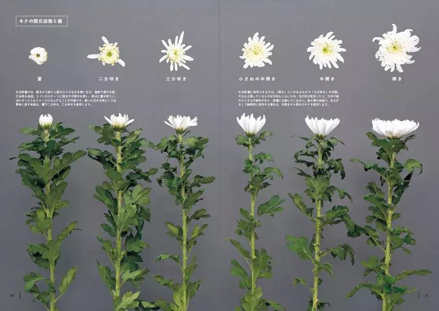 日本一些优秀的设计,年度最受欢迎设计图