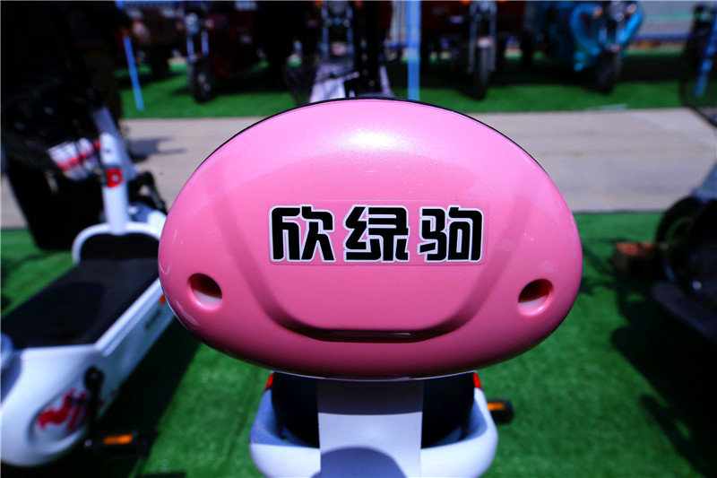 为了带老伴出去游玩方便两千多买了一辆两轮电动车