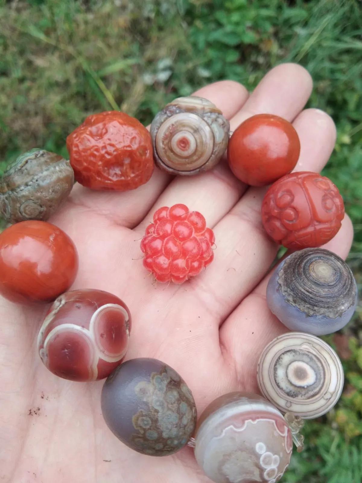 野草莓有没有勾起你们的童年记忆,儿时野草莓