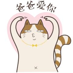 养猫用什么小药箱,新手养猫需要常备什么药品