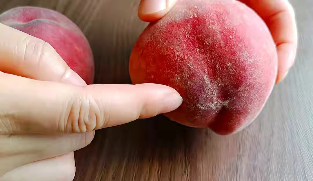桃子甜不甜尝了才知道,桃子怎么挑才是最甜的桃