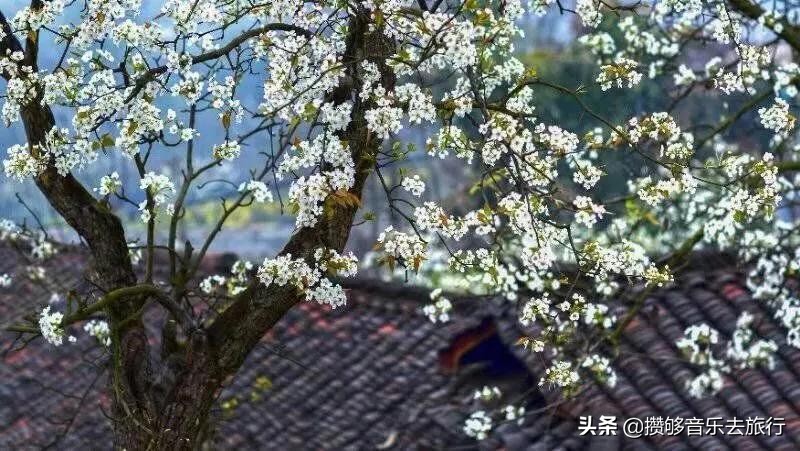 开挂了这座人口仅30万的小城,却连续5年上榜“四川省十强县”