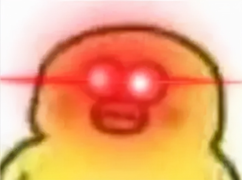 羽绒服中的爱马仕直播,羽绒服品牌爱马仕