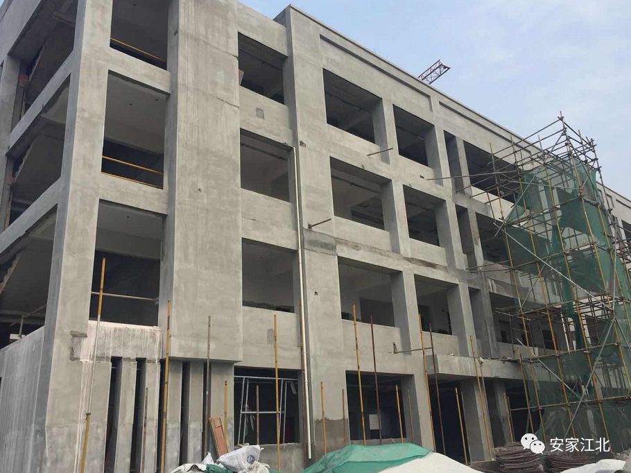 北京东路小学开发区分校,北京东路小学分校紫金分校怎么样