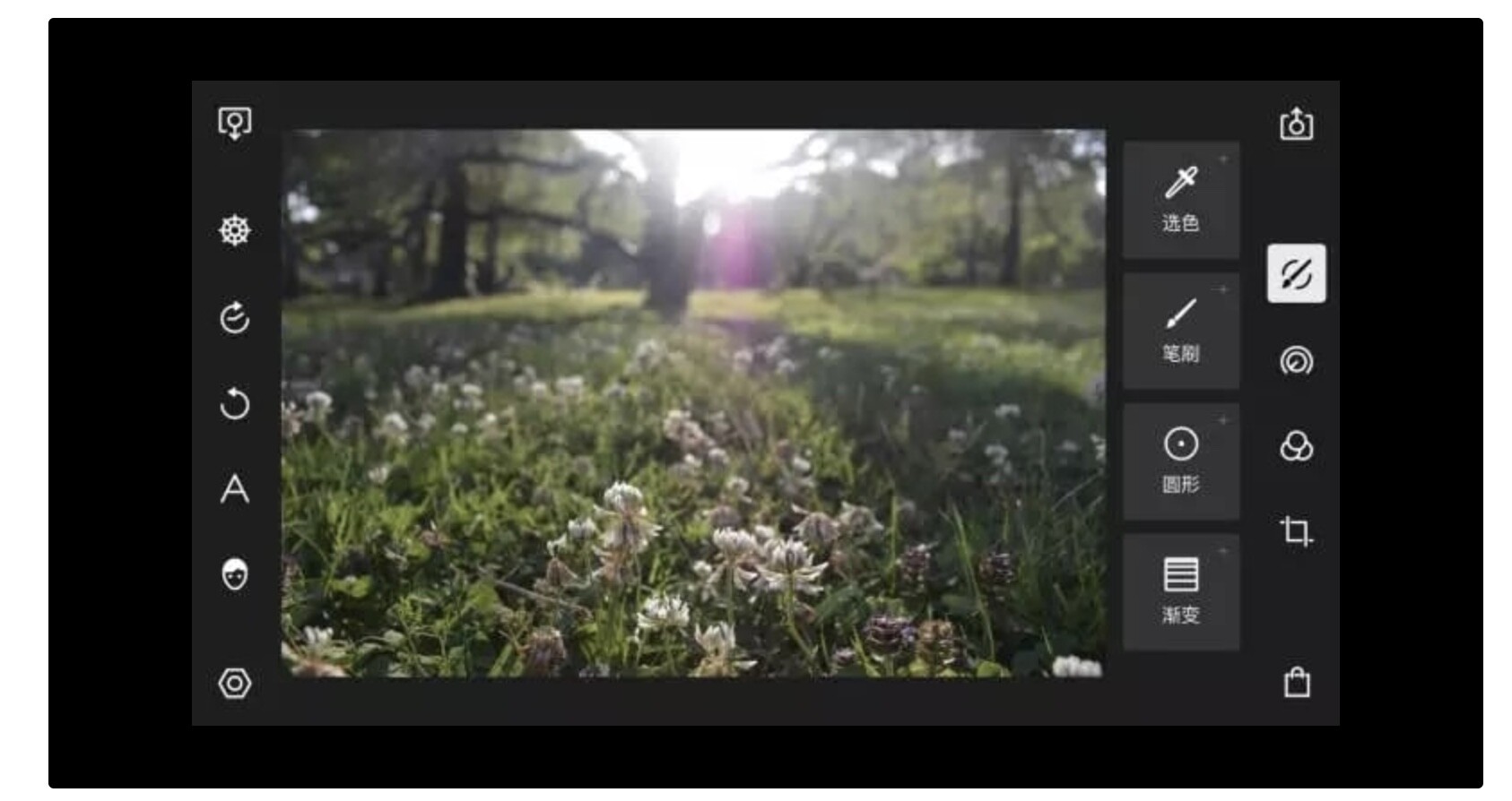 polarr调清晰度,polarrphotoeditor改变照片底色