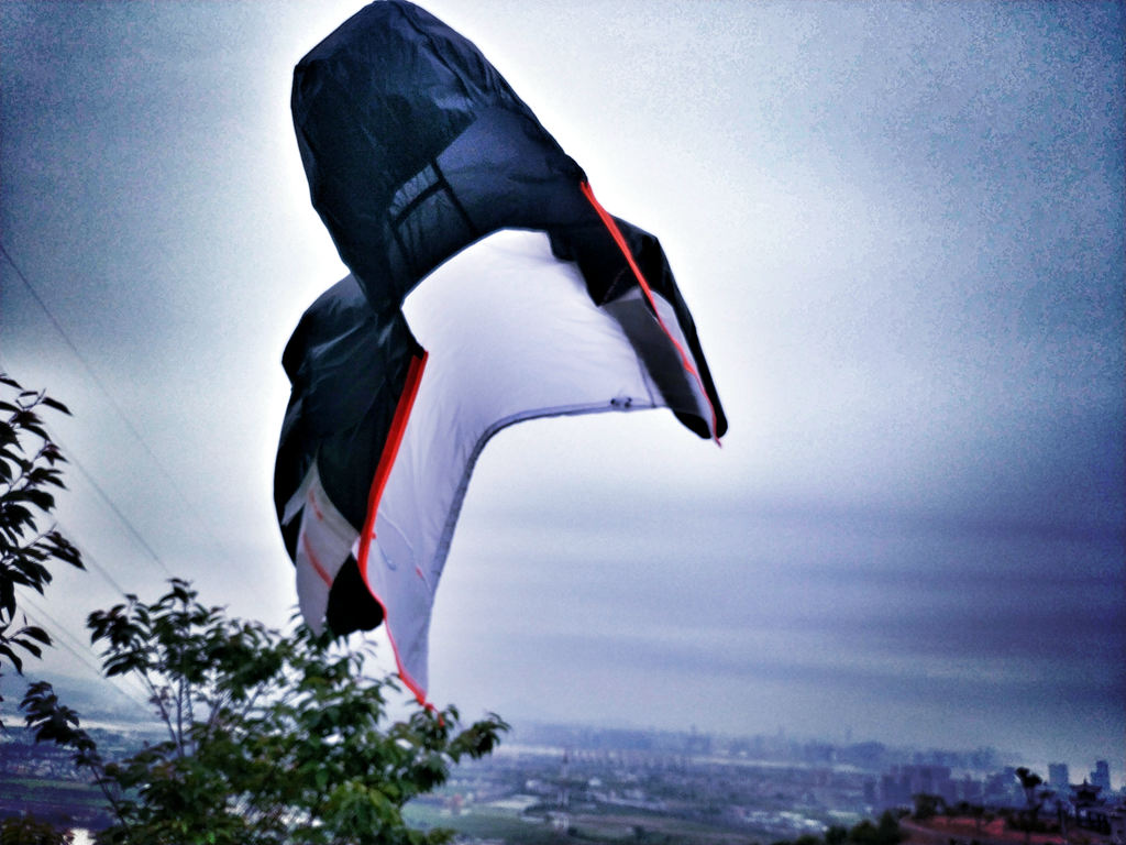 猛犸象什么装备好,猛犸象装备如何配