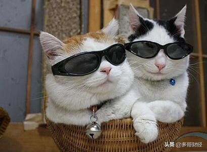 电力物联网龙头股,热点概念板块与行业板块龙头股