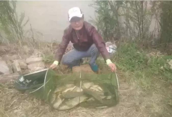 钓鱼笔记全集,钓鱼笔记100篇