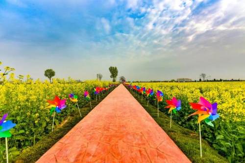 西安的夏天是什么颜色的,西安的春天有多美