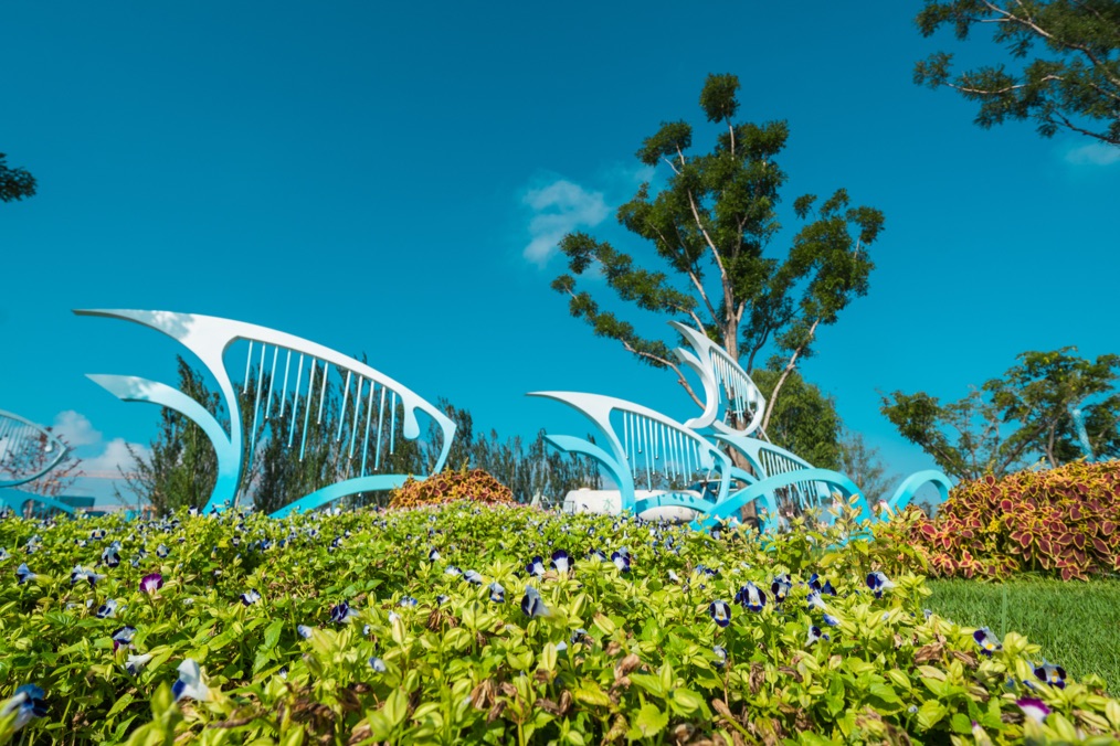 周末24小时畅玩,周末去哪儿玩曹妃甸