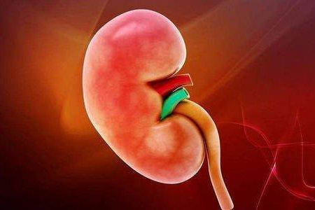 老年人血压高怎么办教你三招搞定,中老年血压高怎么调理才会降