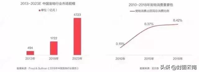 云南省执业兽医考试哪里考,云南执业兽医好考吗
