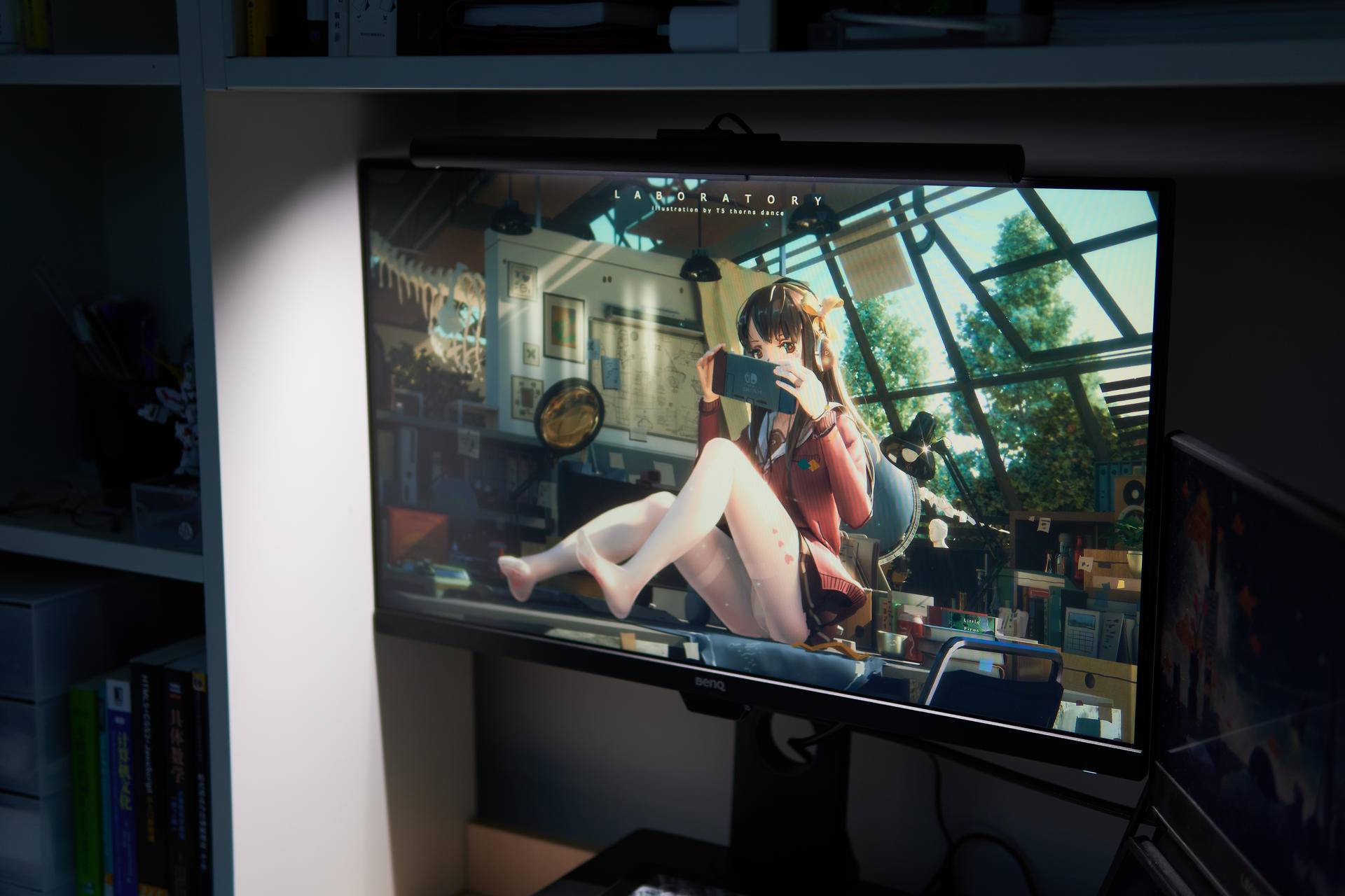 敲代码程序员,敲代码的程序员