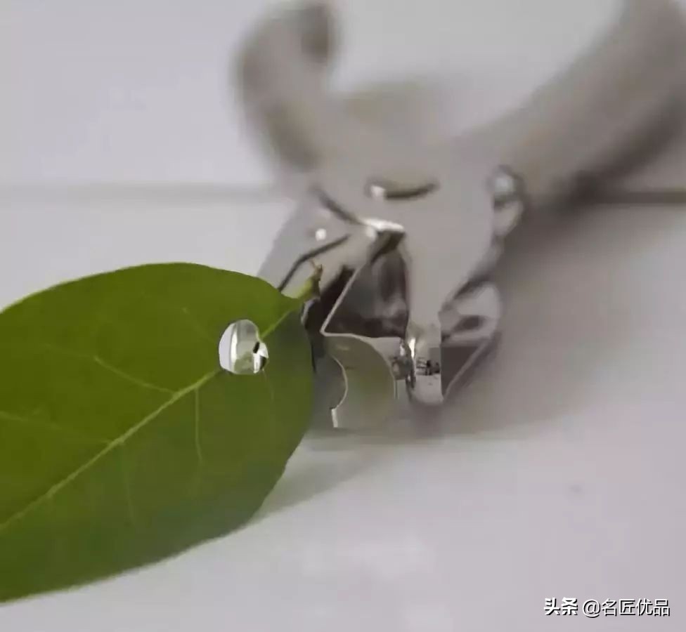 超惊艳的树叶手工,有趣的树叶手工制作