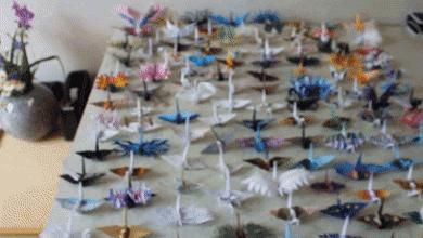 10种纸鹤折法,一天折50个千纸鹤