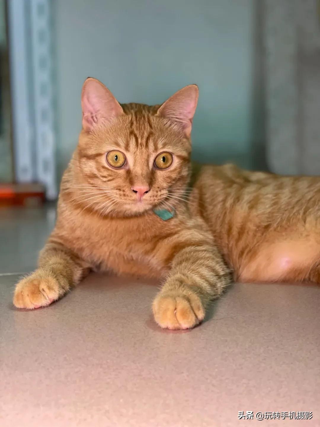 真羡慕那些拍照不用修图的女孩子,为什么那么多人喜欢iphone拍照