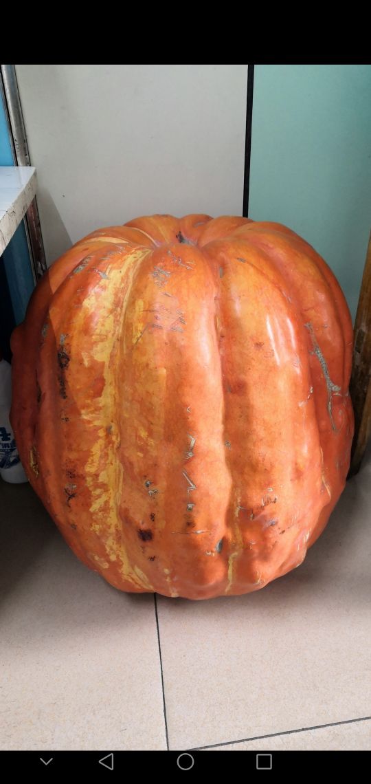 西门大官人投胎故事,西门大官人现状