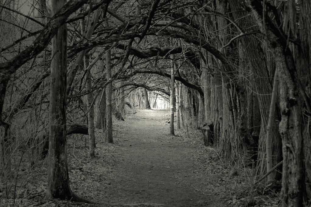 冰与火之歌权力的游戏1-4册,冰与火之歌权力的游戏在线阅读