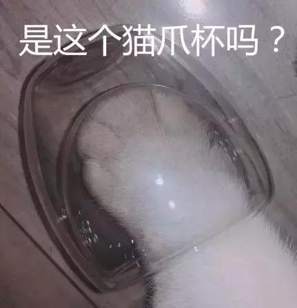 一个杯子卖高价,一个杯子天价