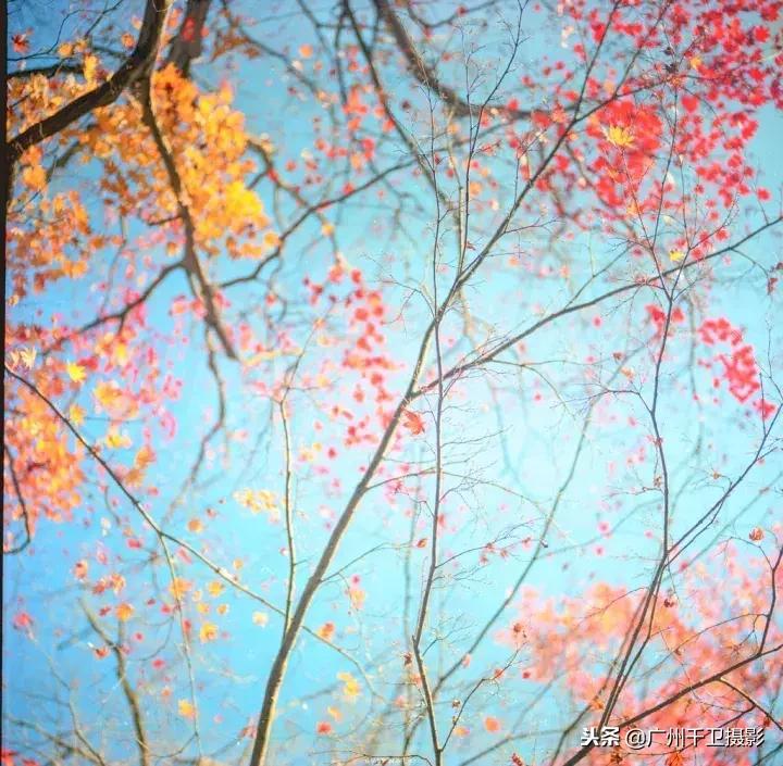 摄影必学的9种构图方法,摄影萌新必学12个构图技巧