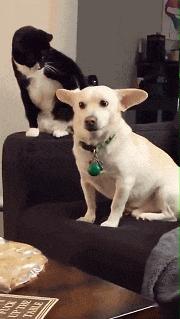 “兄弟睡觉压得胳膊都变色了，要不要叫醒他？”醒来一定很酸爽