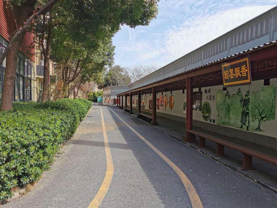 合肥稻香村小学排名第几,合肥稻香村小学醇美经典