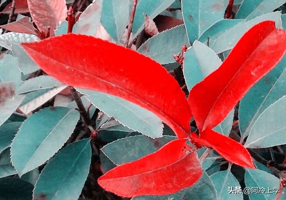 学生反义词不会做,不用查手机和电脑,帮你想办法