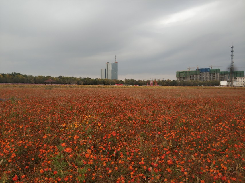 乌鲁木齐八大片区规划图,乌鲁木齐新增的几个区