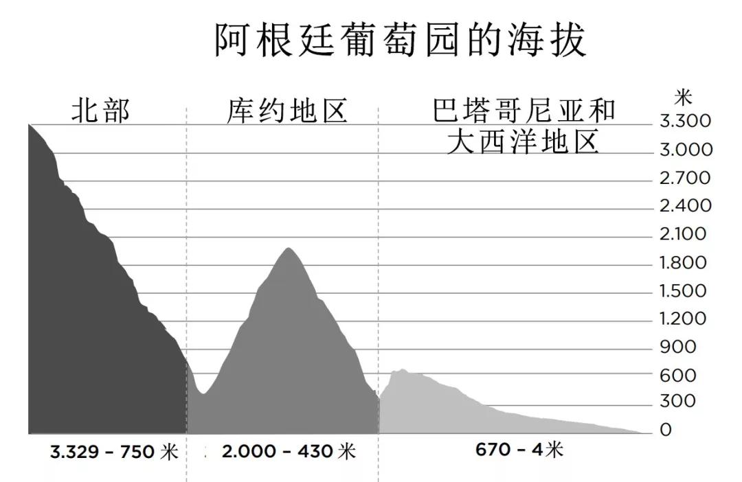 了解葡萄酒常识,解读阿根廷