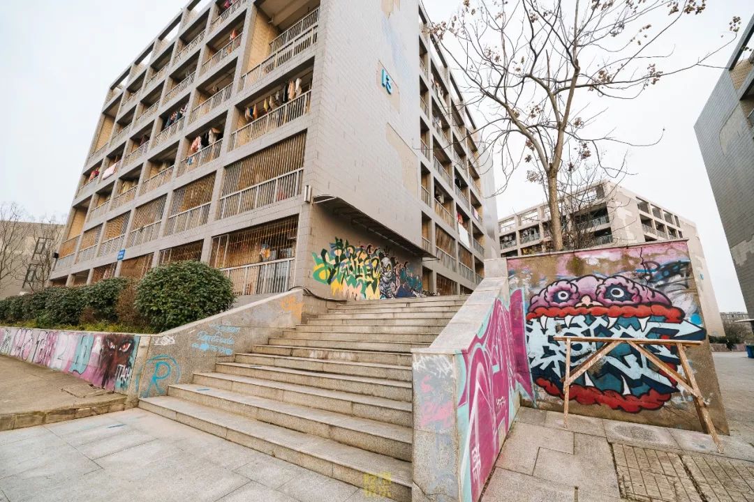 自从藏龙岛有了南延线,我就再没羡慕过别人家的学校!