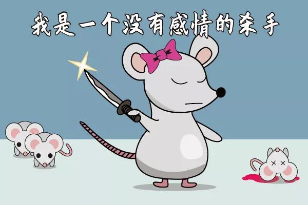 走近科学鼠王,走近科学之消失的巴士