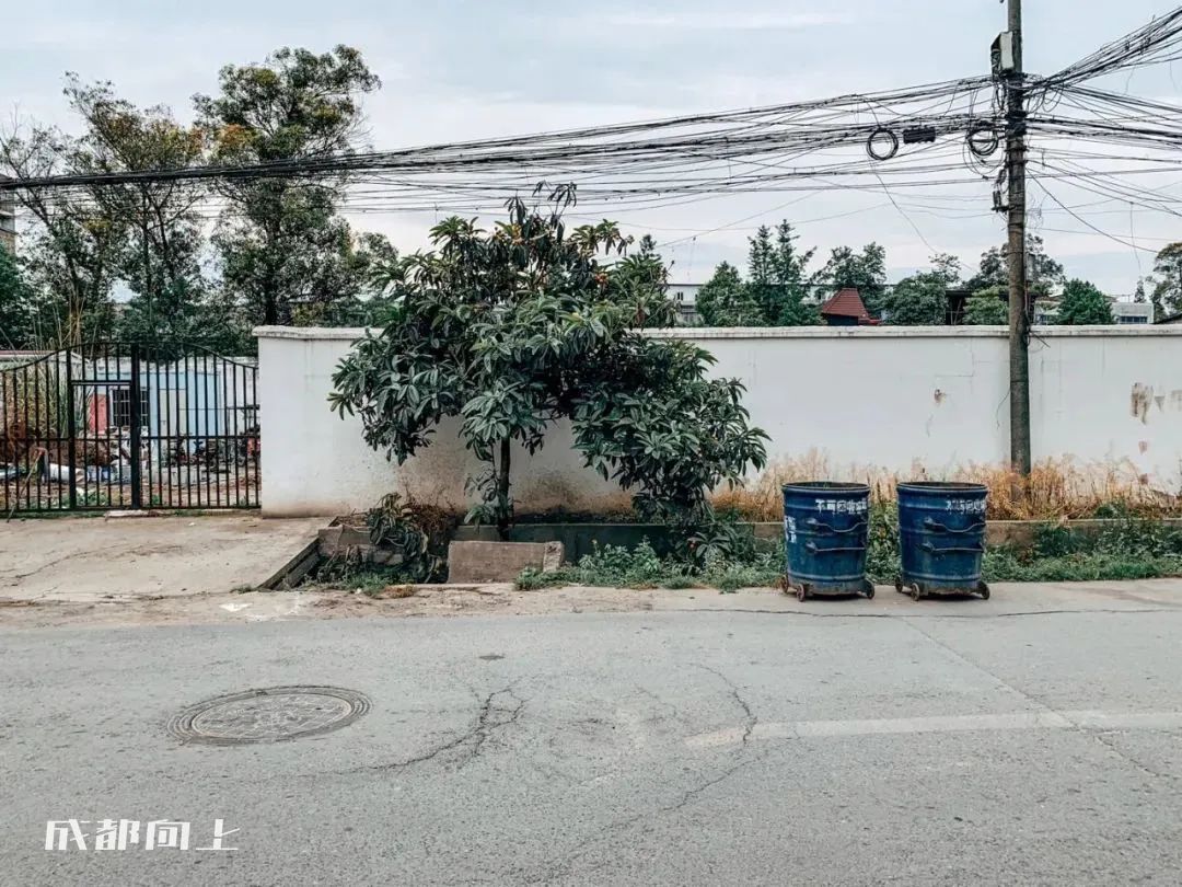 新繁今日现状,新繁最近事件